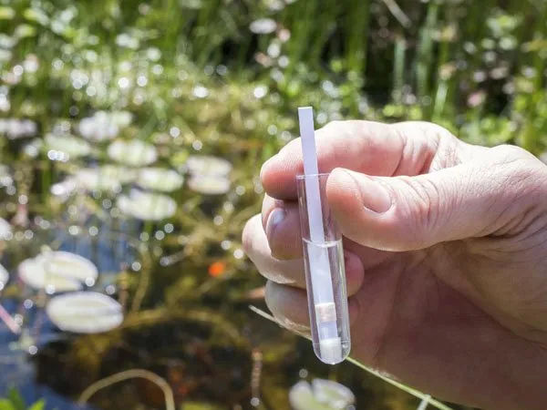 a hand holding a tube of water in front of a pond.