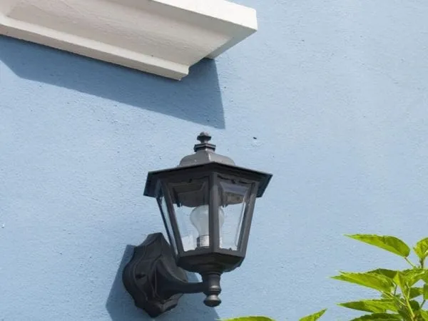 a black light on a blue wall next to a plant.