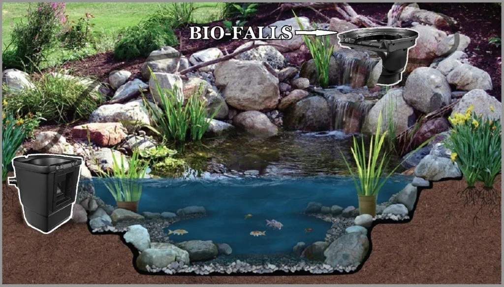 Best pond filter with best sale uv light