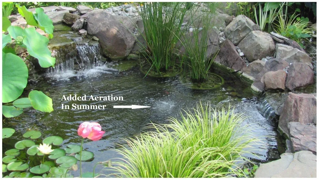 How to Aerate a Pond: Enhance Water Quality and Boost Fish Health