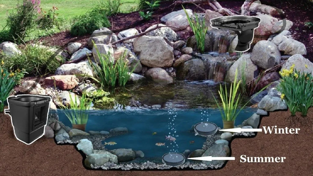 a garden pond with a water feature and various plants.