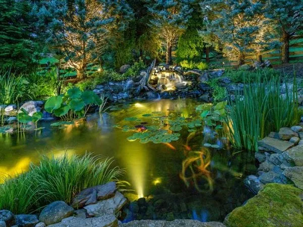 Landscape lighting deals designers near me