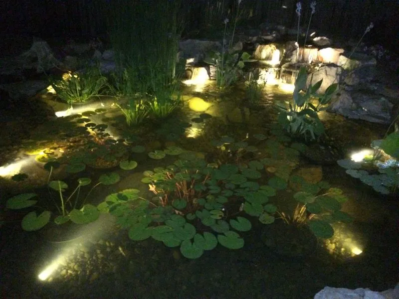 Pond LED Lighting Change How You See Your Pond