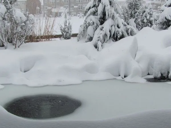 Koi clearance pond freezing