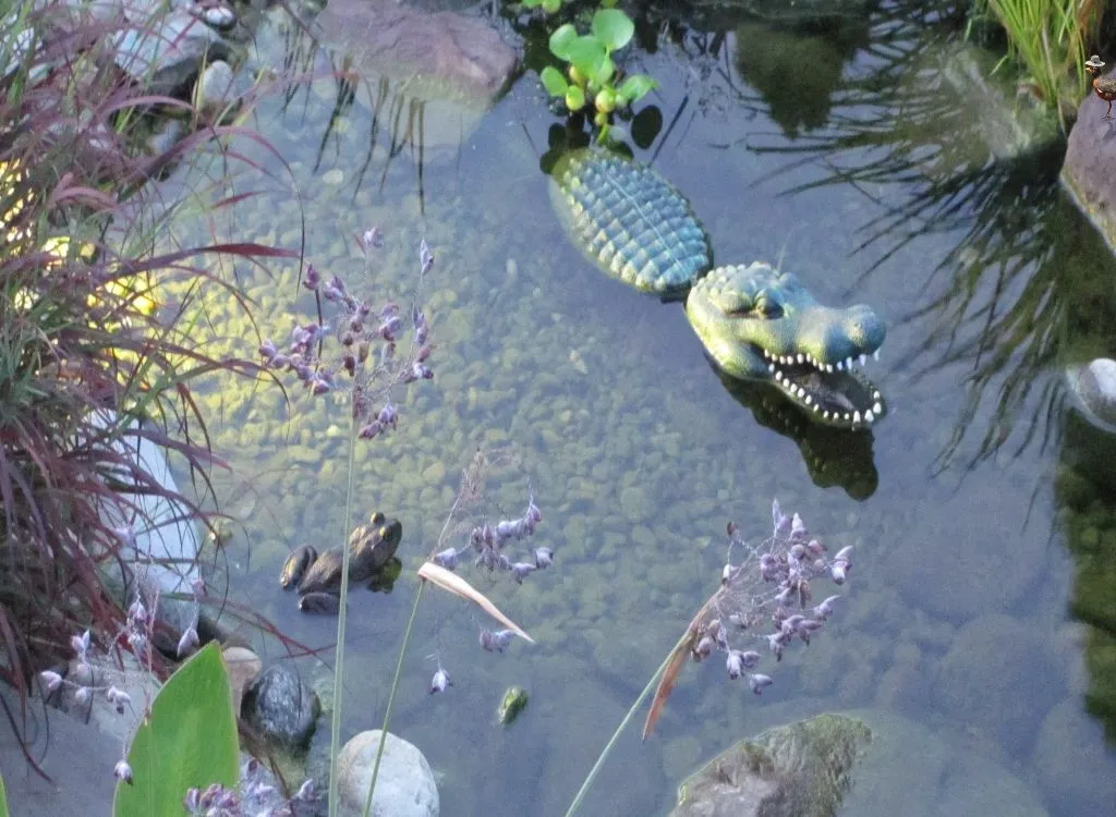 Pond Cover Nets - The Pond People