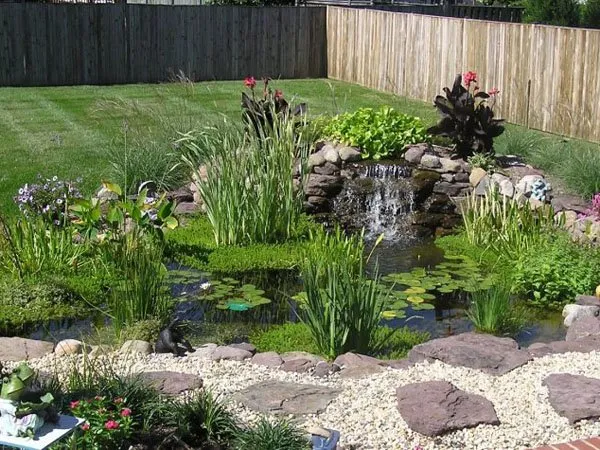 This Is How Much A Koi Pond Costs To Build And Maintain