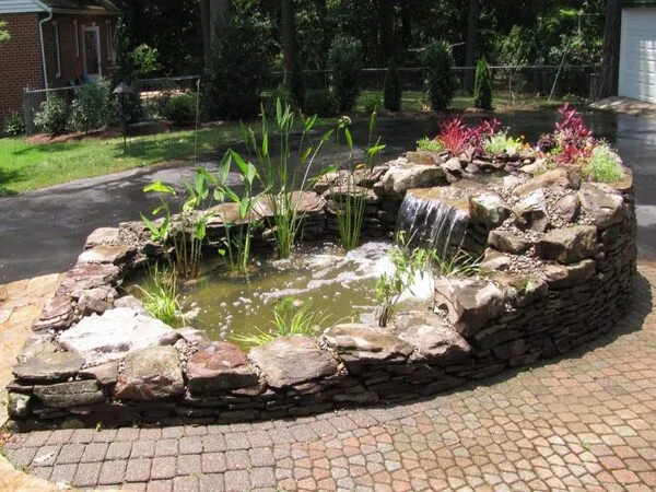 small fish pond design ideas