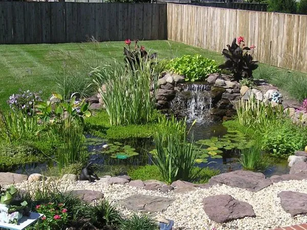 a garden with a pond, rocks and flowers.