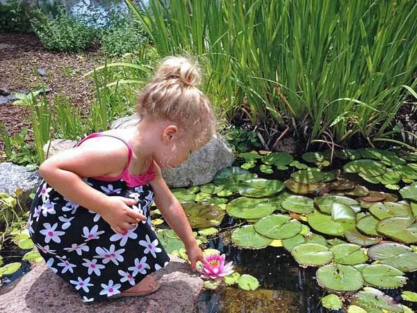 a little girl looking at a flower in a pond.