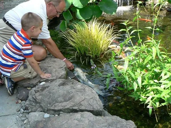 a man and a boy looking at a fish in a pond.