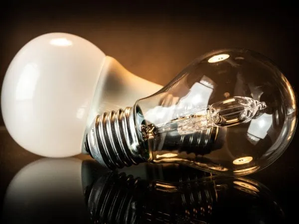 LED Fridge Light Bulbs: Does It Work? - LampHQ