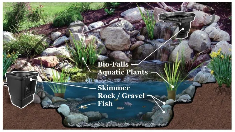 a diagram of a pond with rocks and water features.