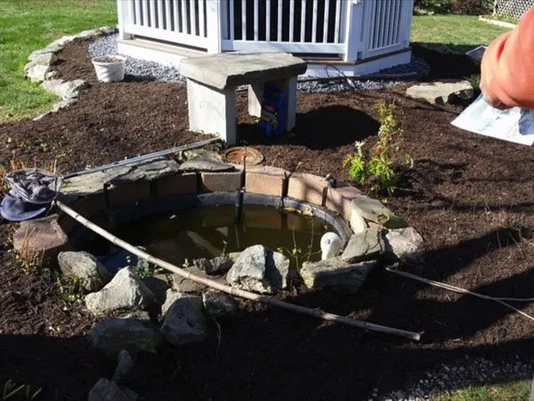 a small pond in the middle of a yard.