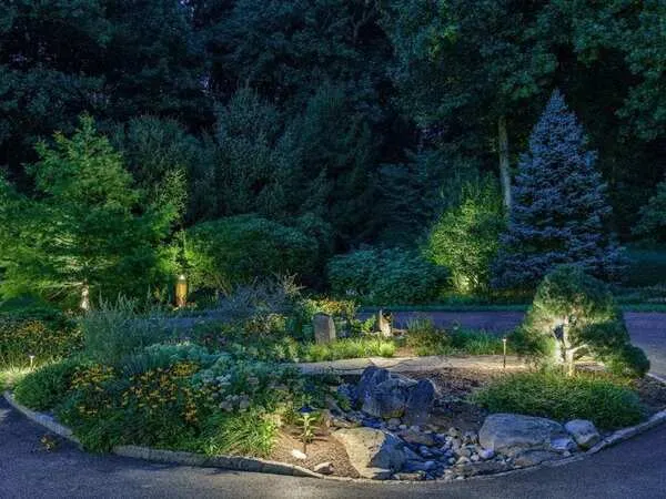 a garden at night with lights on.
