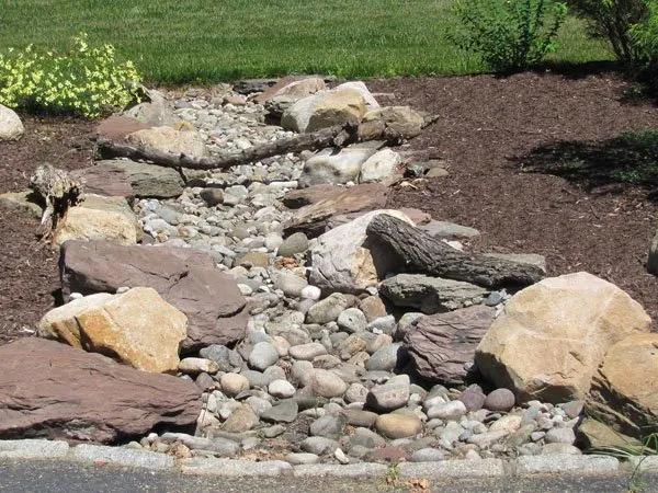 a garden with rocks and grass and a fire hydrant.
