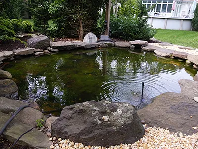 Pond Maintenance Specialist Contractor