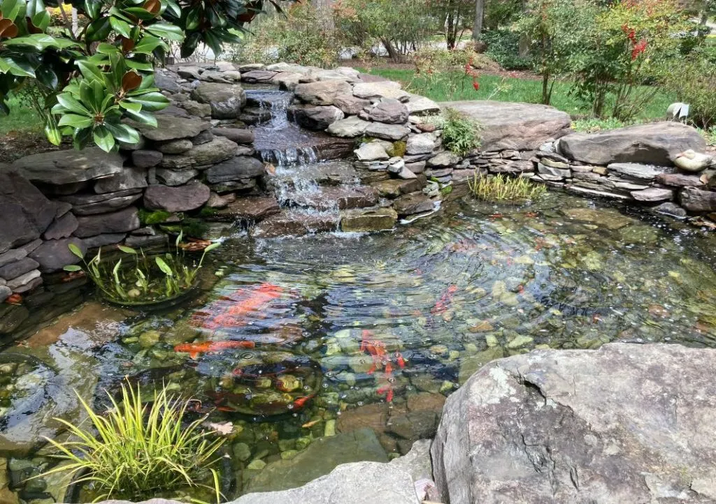 Pond Kits, Complete DIY Koi Pond Kits