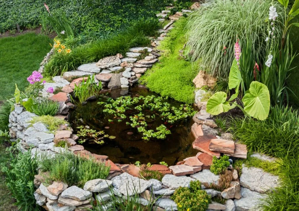 diy above ground pond