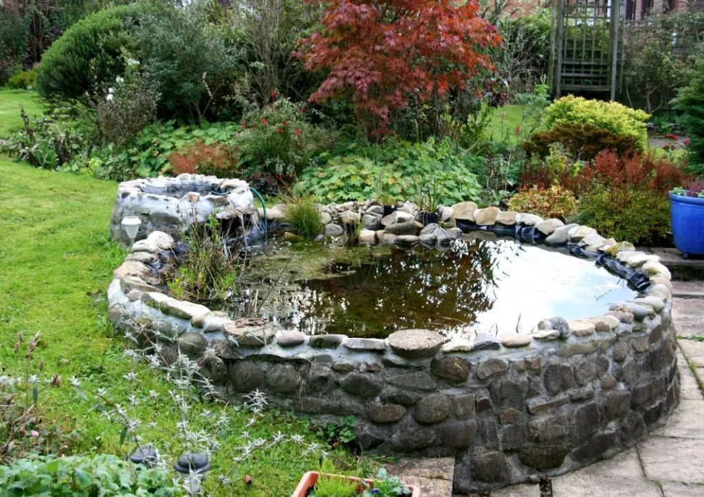 raised koi pond design