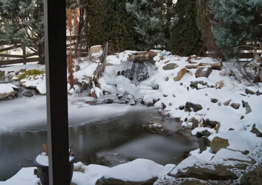 How To Do Winter Pond Maintenance The Best Way In Maryland