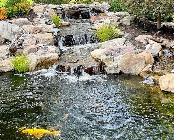 Pond Construction And Renovation In Baltimore- Premier Ponds