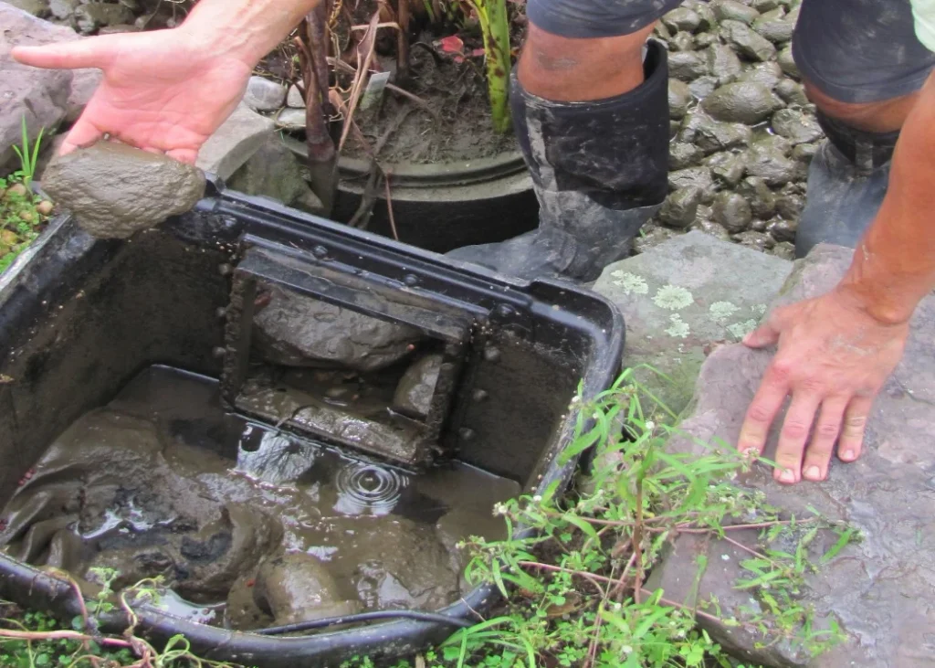 FILTER START - Fast biological (start up) of your pond filter and pond!