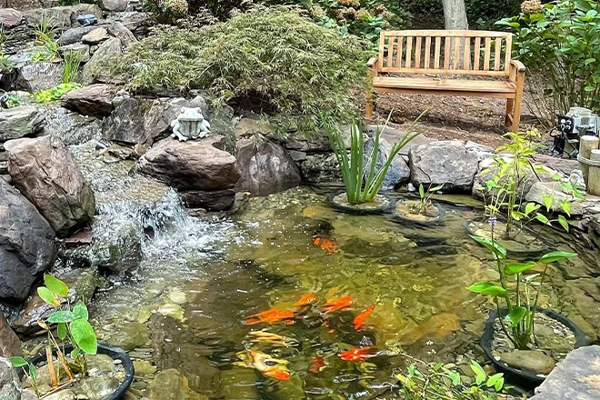 New goldfish pond with bench and stream and waterfall