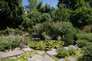 pond-algae-maintenance