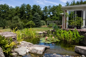 Backyard pond with water lilies, rocks, and a stone border beside a house and patio garden.