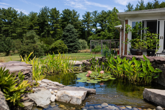Backyard pond with water lilies, rocks, and a stone border beside a house and patio garden.